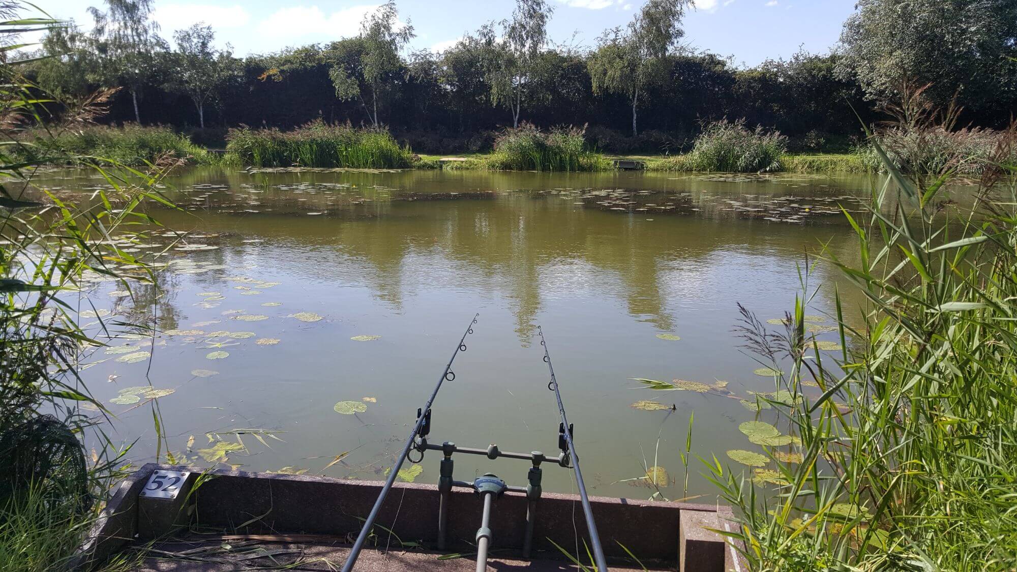 Peg 52 20 August 2020